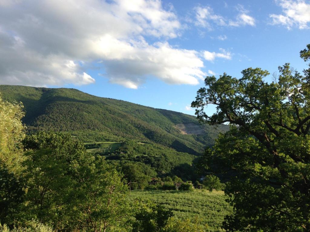 Agriturismo Nizzi Villa อัสซิซี ภายนอก รูปภาพ